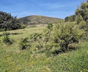 Cortijo los Malenos